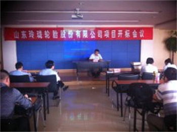 山东玲珑轮胎股份有限公司项目开标