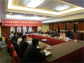 鲁抗辰欣药业股份有限公司项目